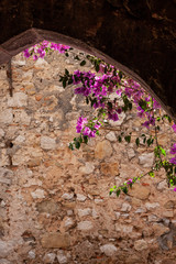 Boganvilliea and a stone archway in Eze, France