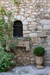 Fototapeta na wymiar Window and ivy on stone wall in Eze, France