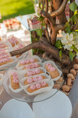 sweets cake desserts at the wedding buffet