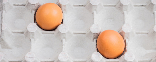 eggs in a cardboard box friends