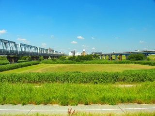 Obraz premium 武蔵野線鉄橋と流山橋のある風景