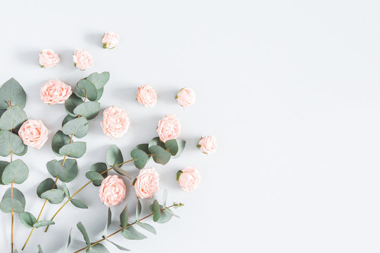 Fototapeta Flowers composition. Frame made of rose flowers and eucalyptus branches on pastel blue background. Flat lay, top view, copy space