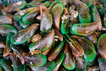 Seafood. Close up of raw mollusk in shells on the market.