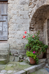 Fototapeta na wymiar Pretty flowers in pots next to a wooden door in Peillon, France