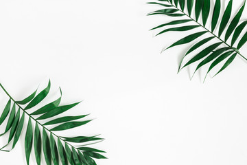 Tropical palm leaves on white background. Summer concept. Flat lay, top view, copy space