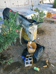 A donkey is eating garbage from a bucket in Egypt.