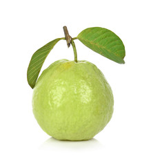 fresh guava fruit  isolated on white background