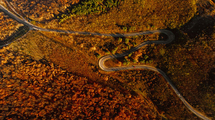 Aerial shot of Moldavian autumn hills with winding road and thick forest