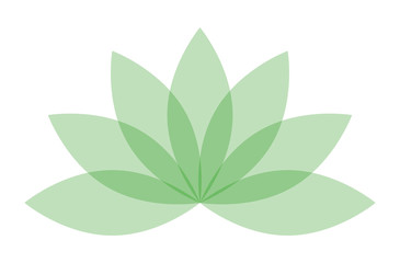 Hojas verdes de yoga.