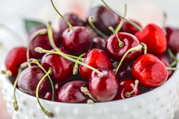 Frische Kirschen 