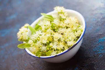bowl of linden flowers
