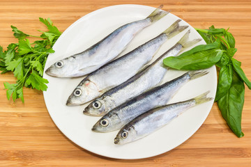 Defrosted baltic herring on the white dish and greens closeup
