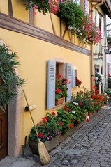 Fototapeta na wymiar Eguisheim, Elsaß, Frankreich, Europa