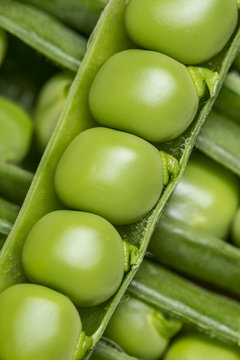 fresh green peas close up - macro photography