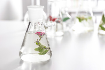 Flower in flask on table
