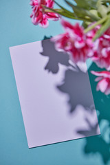 Delicate pink tulips and white sheet paper with copy space on a blue background.