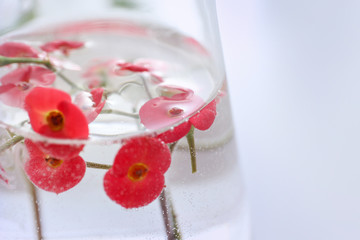 Fototapeta na wymiar Flowers in flask, closeup