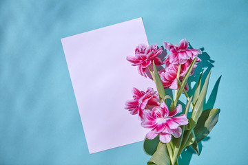 Frame decorated with a bouquet of tender pink tulips on a blue background. Layout for greeting card. Flat lay.