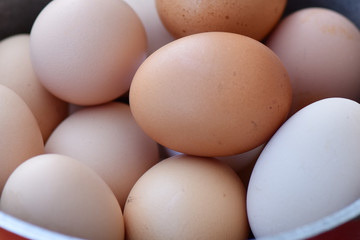 Chicken eggs in a bowl. The farm.