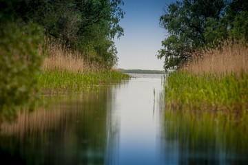 Fototapeta na wymiar Nature in the Danube Delta near Letea and Sfistofca