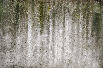Concrete wall grees moss outdor building texture wallpepr