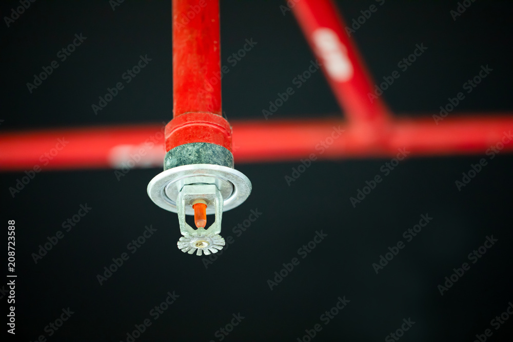 Wall mural fire sprinkler and red pipe.