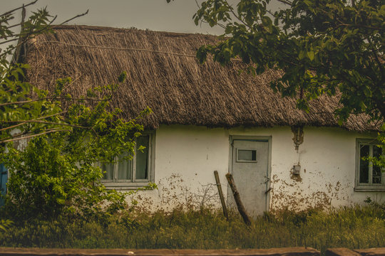 Nature in the Danube Delta near Letea C.A. Rosetti and Sfistofca