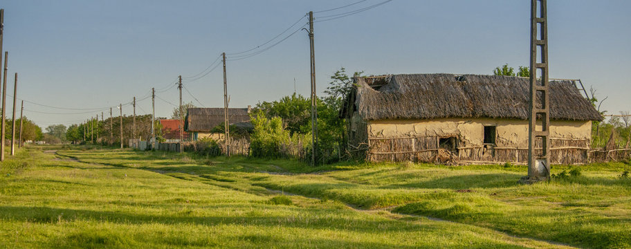 Nature in the Danube Delta near Letea C.A. Rosetti and Sfistofca