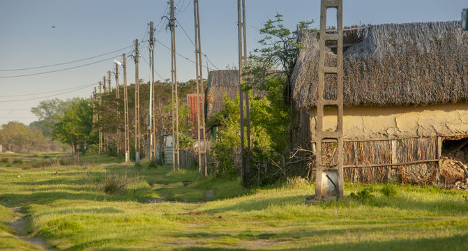 Nature in the Danube Delta near Letea C.A. Rosetti and Sfistofca