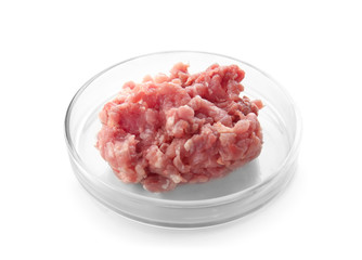 Minced meat in Petri dish on white background. Gmo food concept