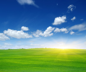 Fototapeta na wymiar Green field and sun.
