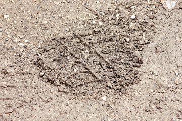 Bike, tractor, excavator, car, automotive tire tracks on muddy trail. Mud and wheel trace on road after rain. Mud with truck wheel track in rainy day. Background, texture, material, wallpaper.