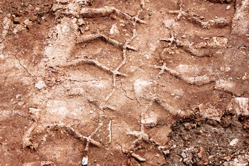 Tractor, excavator, car, automotive tire tracks on muddy trail. Mud and wheel trace on road after rain. Mud with truck wheel track in rainy day. Background, texture, pattern, material, wallpaper.