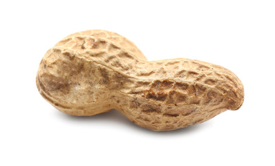 Tasty peanut on white background