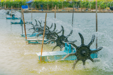 Turbine Baler  for Shrimp Pond.