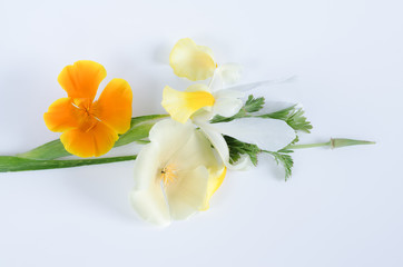 Bouquet of flowers on white background. Flat lay.
