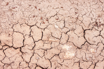 Cracked ground, path, dry soil. Ecology concept. Cracked earth texture and background. Dry field, water, land, sand. Above view of land during drought. Abstract surface, pattern, material, wallpaper.