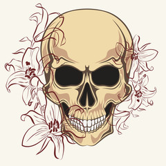 Skull with contour lilies