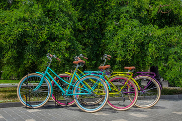 Fototapeta na wymiar Bicycle parking in summer, city Odessa Ukraine