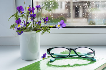 Wildflowers, book and glasses on the window in rainy weather