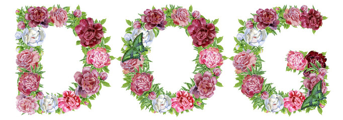 Word DOG of watercolor flowers