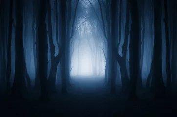 Gordijnen magisch bospad, surrealistisch landschap © andreiuc88
