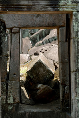 CAMBODIA SIEM REAP ANGKOR TA PROHM TEMPLE