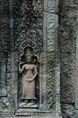 CAMBODIA SIEM REAP ANGKOR TA PROHM TEMPLE