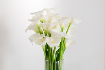 beautiful flower bouquet of calla	