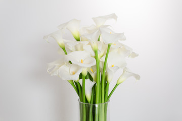Naklejka na ściany i meble beautiful flower bouquet of calla 