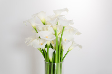 beautiful flower bouquet of calla	