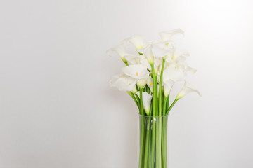 Naklejka na ściany i meble beautiful flower bouquet of calla 