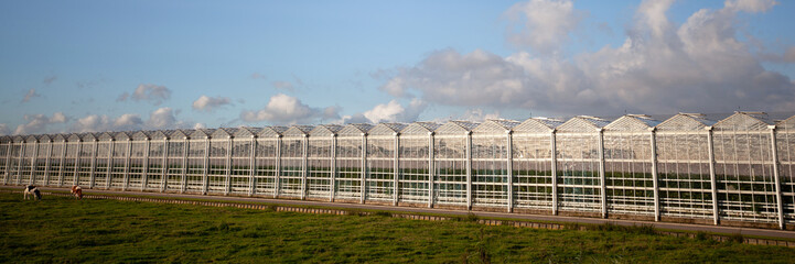 Fototapeta na wymiar Large Modern Glass Greenhouse