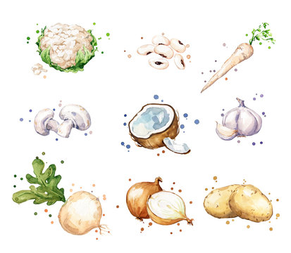 Assortment of white, light colo foods, watercolor fruit and vegtables